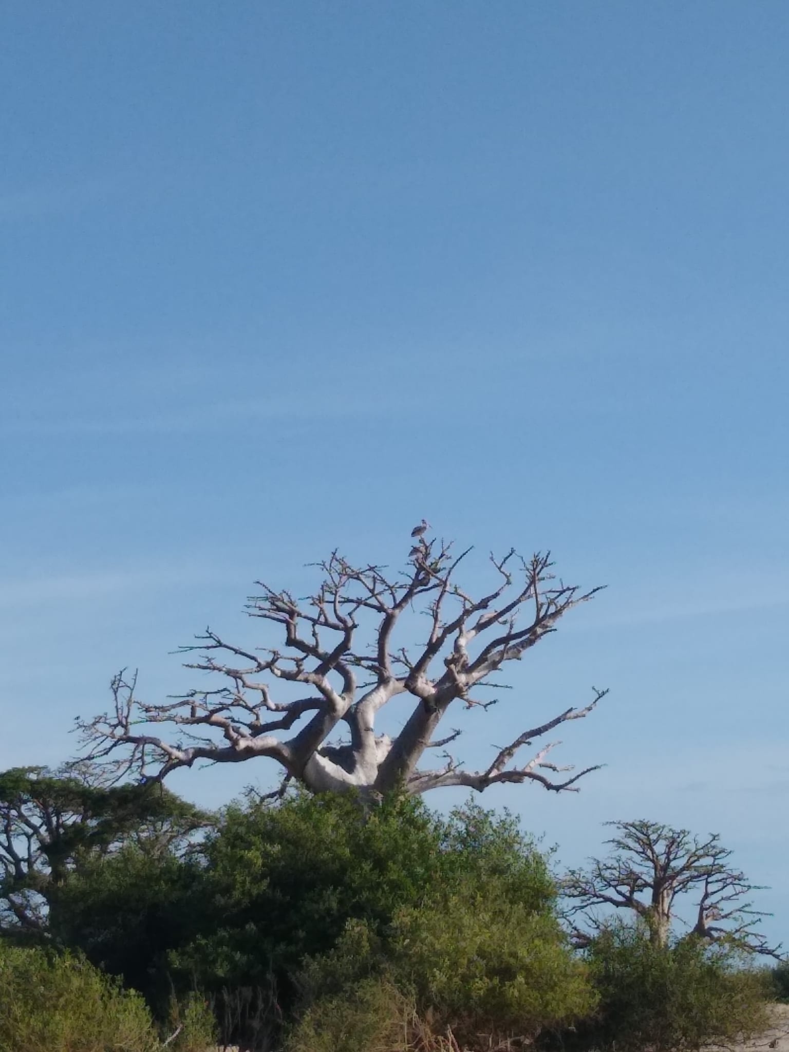 Navigation dans le delta