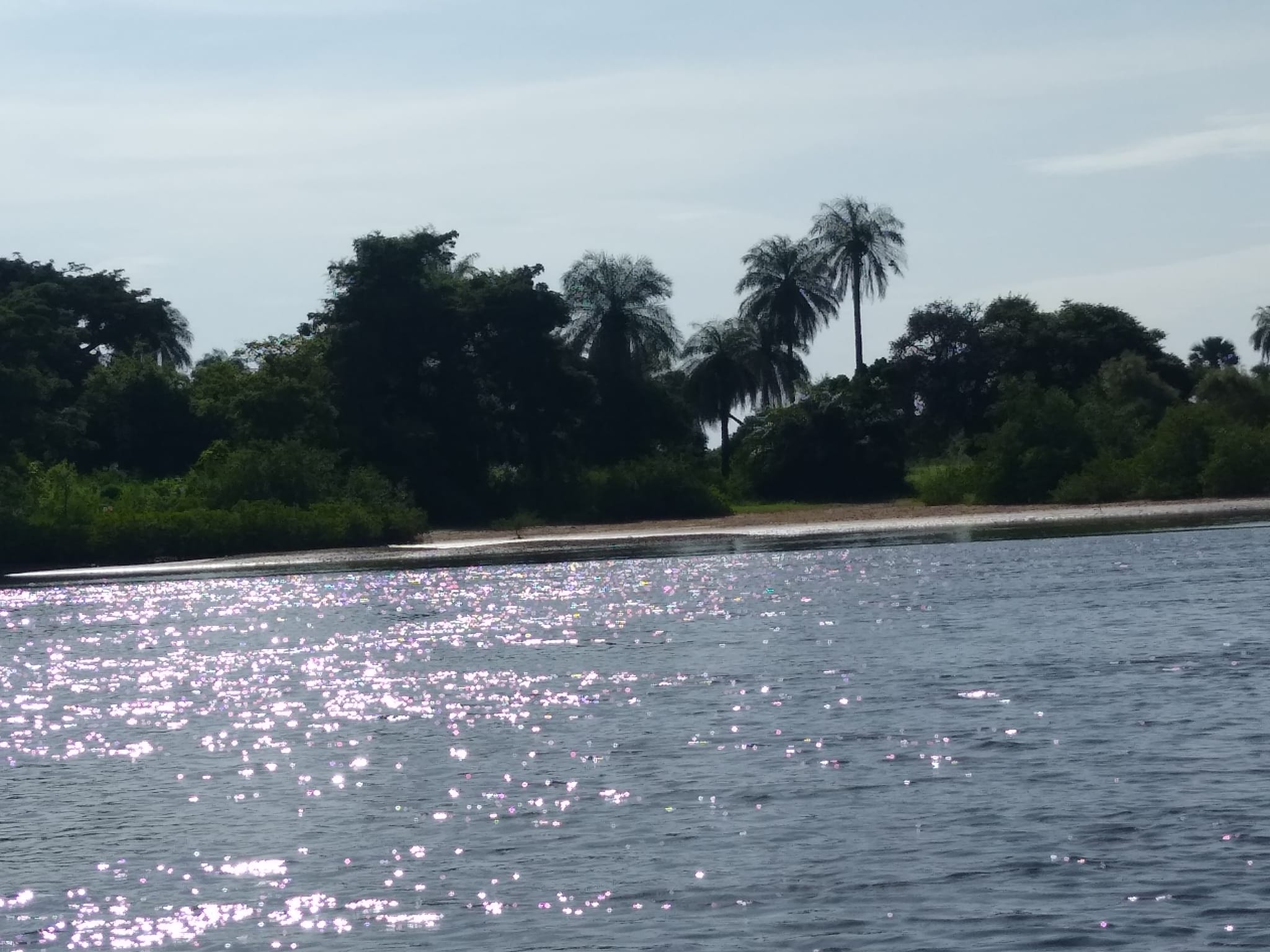 Exploration en pirogue