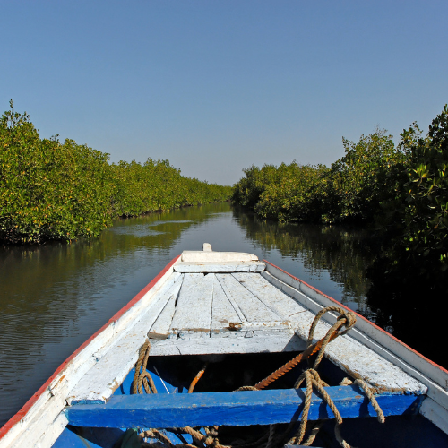 Découverte en Pirogue
