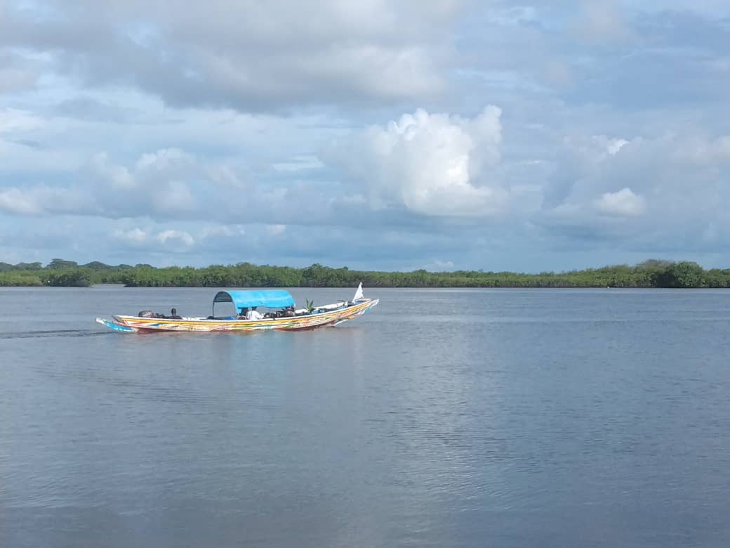 Exploration du delta